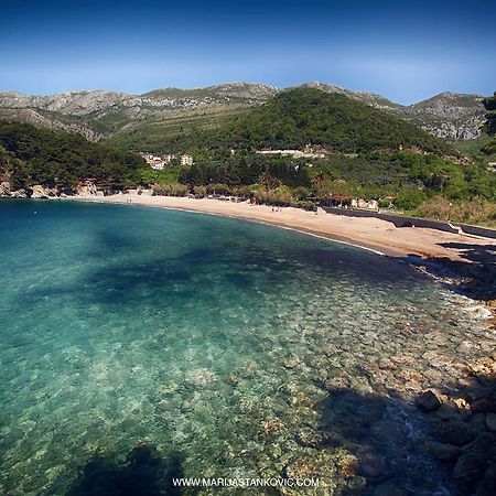 Studio Apartment Nika Andusa Petrovac Luaran gambar