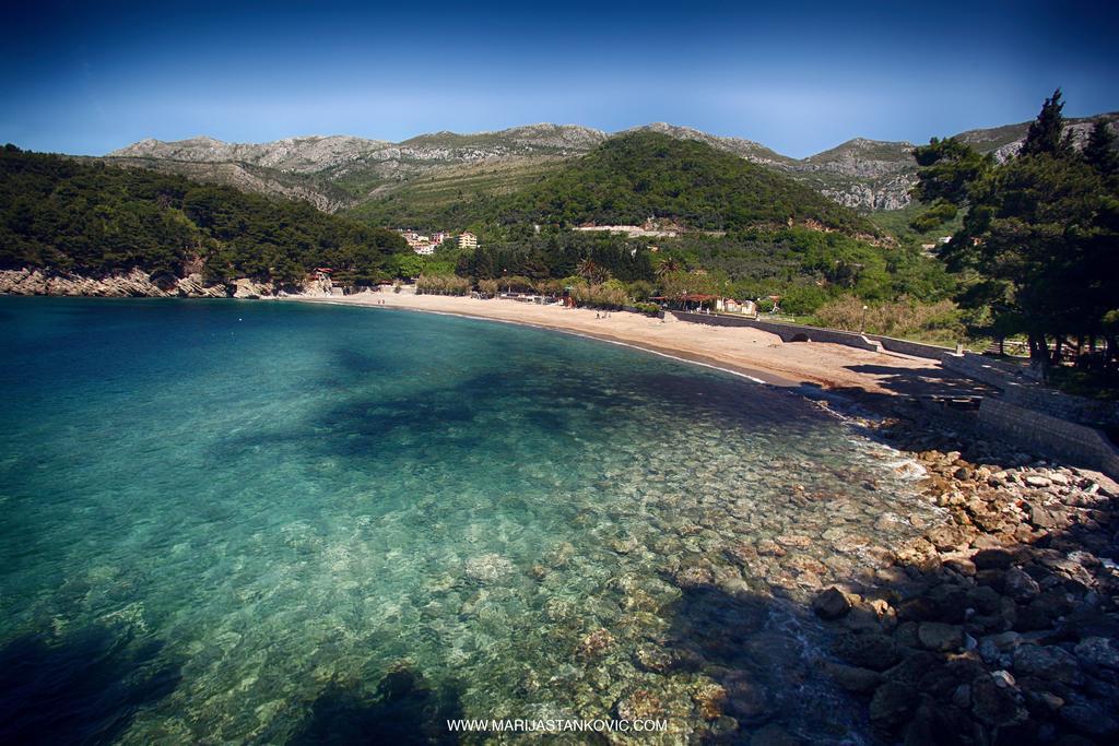 Studio Apartment Nika Andusa Petrovac Luaran gambar